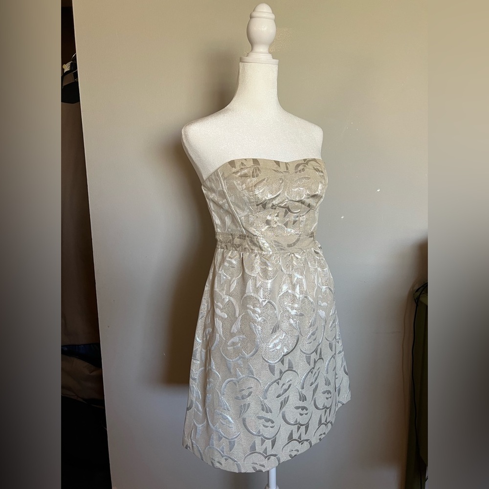 Strapless Shimmery American Eagle Dress